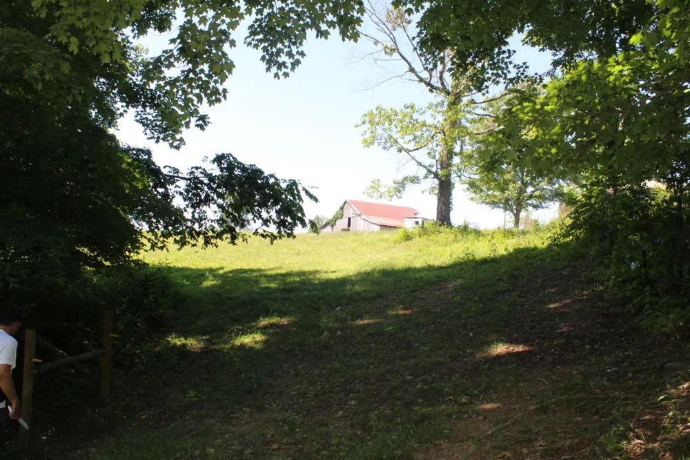 0 Hall Rd Greenbrier, TN 37073