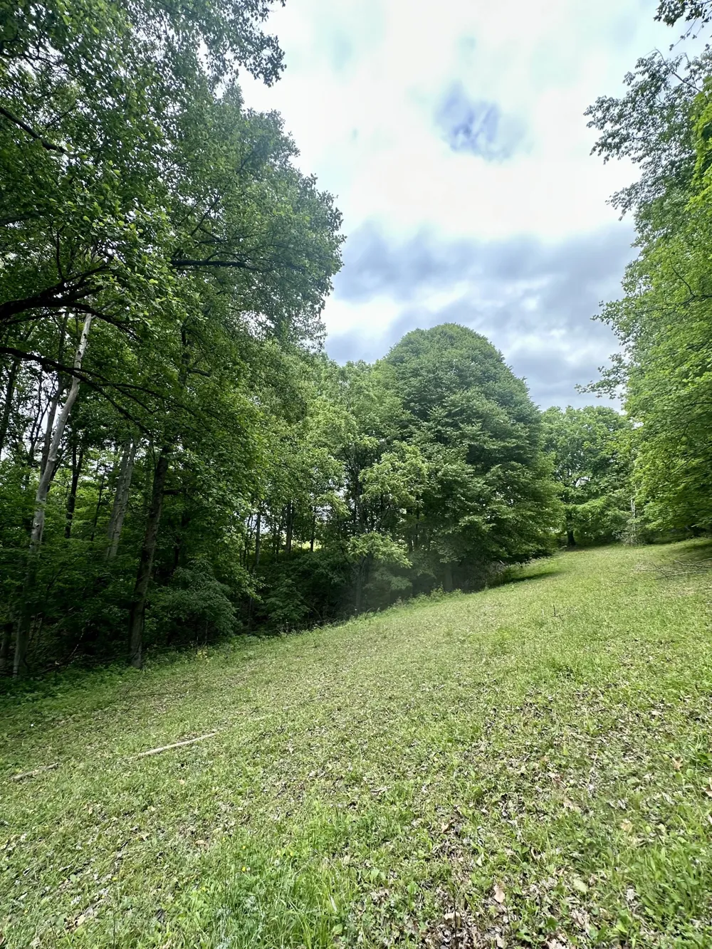 0 Hall Rd Greenbrier, TN 37073