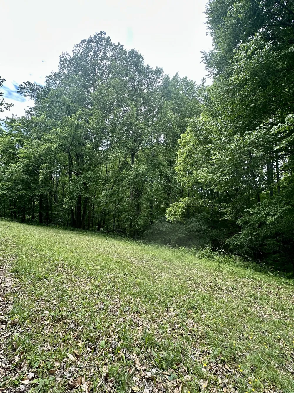 0 Hall Rd Greenbrier, TN 37073