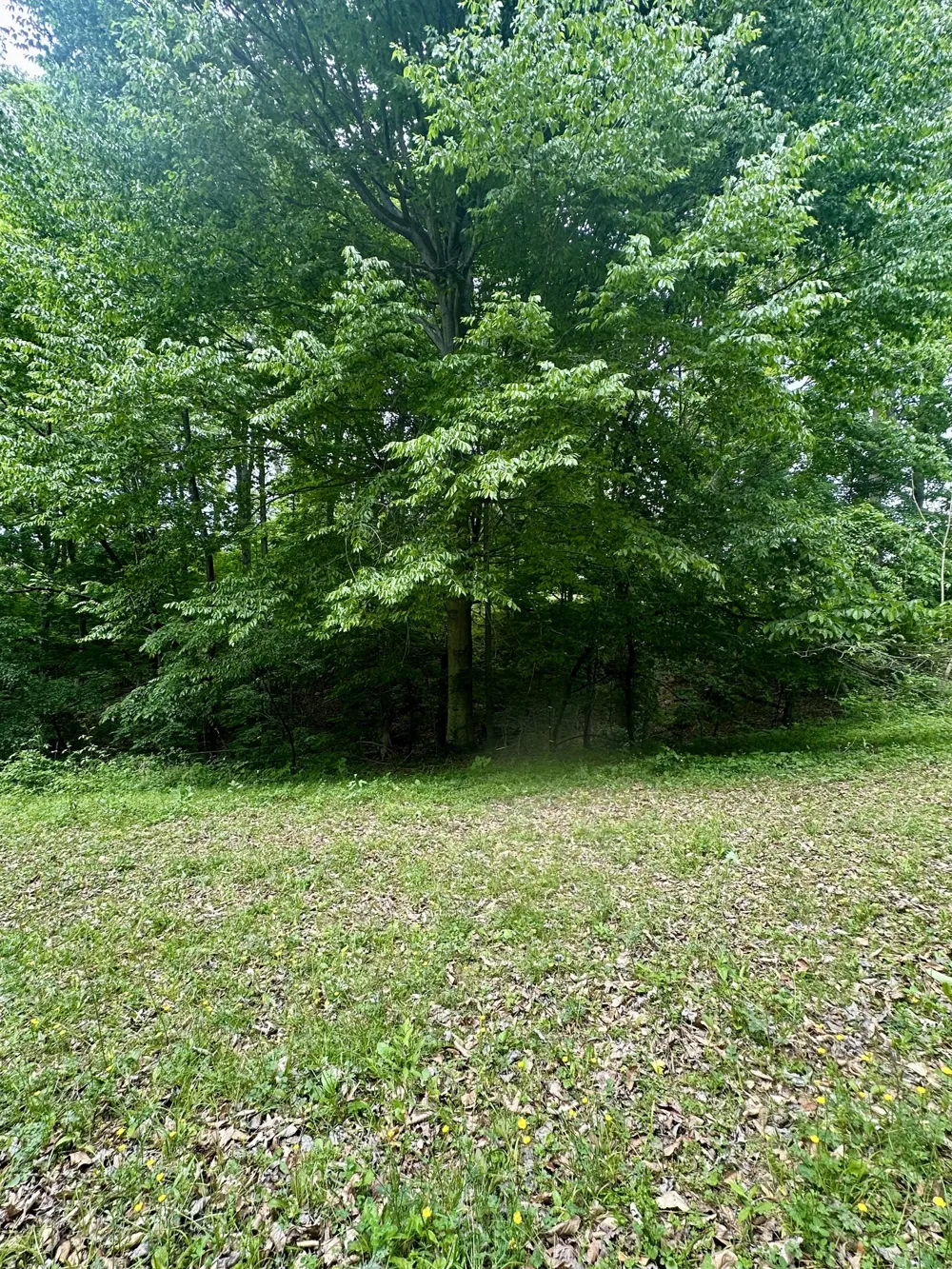 0 Hall Rd Greenbrier, TN 37073