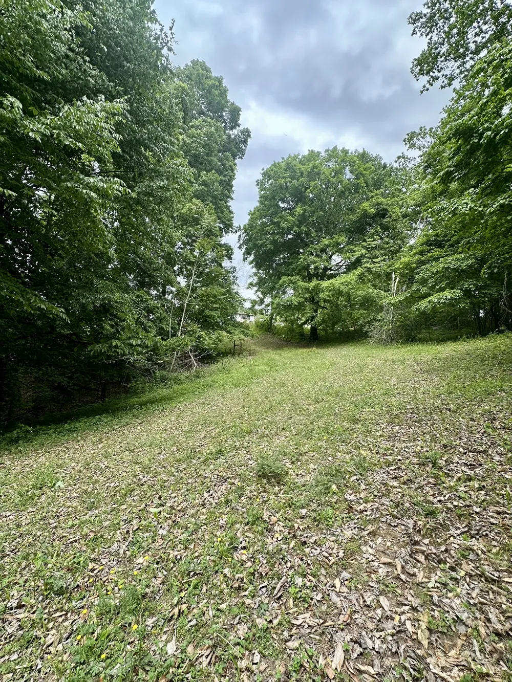 0 Hall Rd Greenbrier, TN 37073