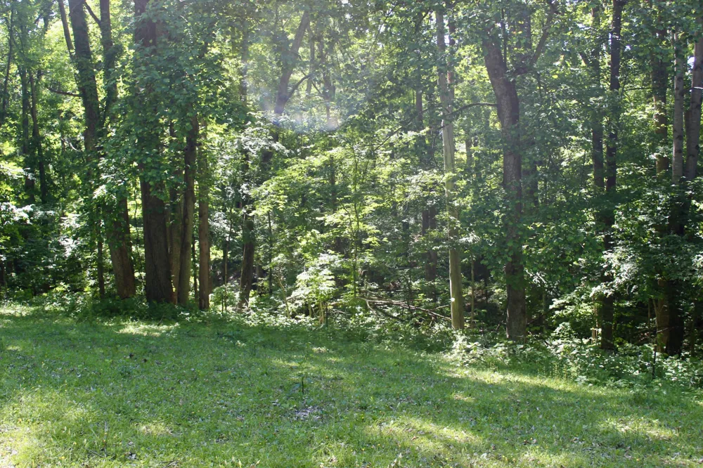 0 Hall Rd Greenbrier, TN 37073