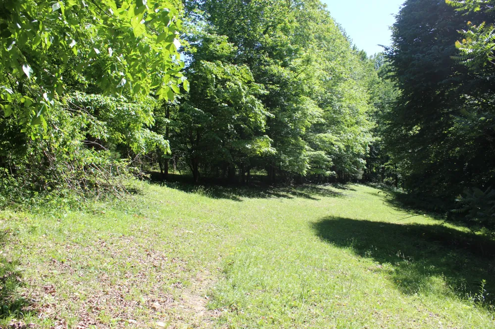 0 Hall Rd Greenbrier, TN 37073