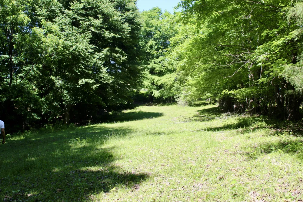 0 Hall Rd Greenbrier, TN 37073