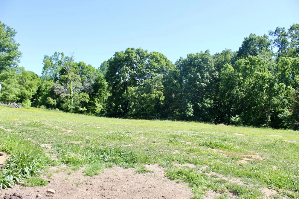 0 Hall Rd Greenbrier, TN 37073