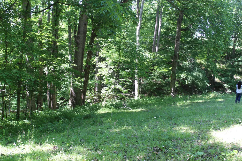 0 Hall Rd Greenbrier, TN 37073