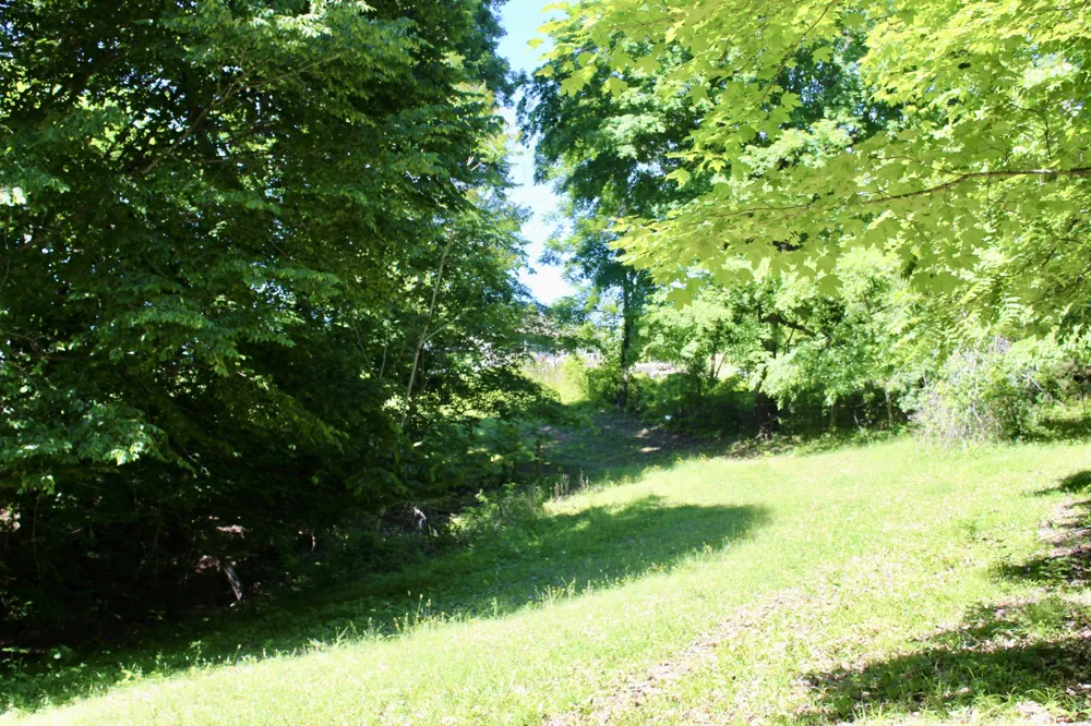 0 Hall Rd Greenbrier, TN 37073
