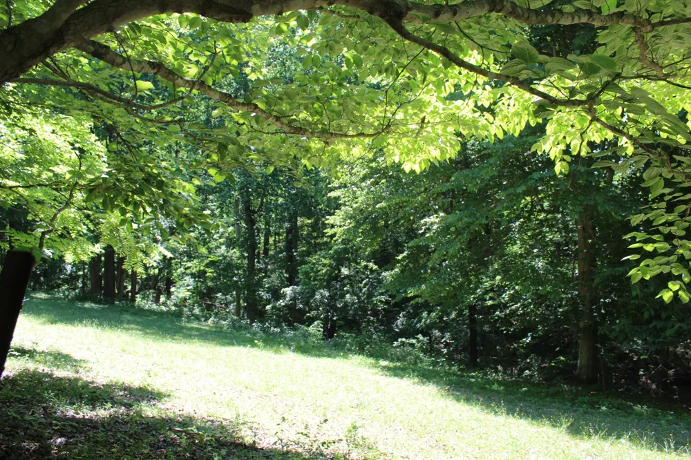 0 Hall Rd Greenbrier, TN 37073