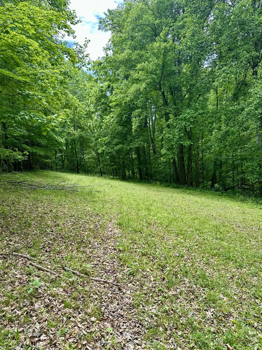 0 Hall Rd Greenbrier, TN 37073