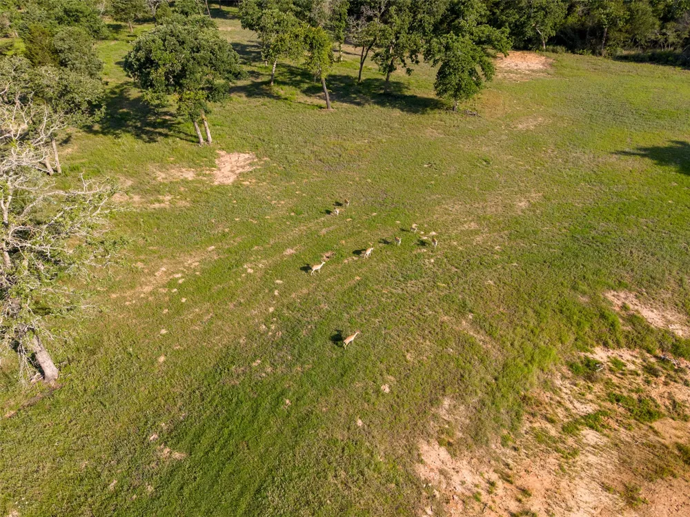 Horseshoe Lake Ranch Marquez, TX 77865