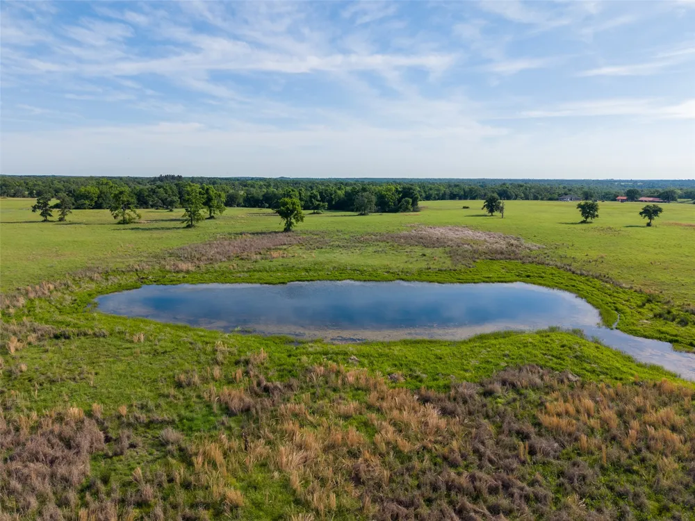 Horseshoe Lake Ranch Marquez, TX 77865