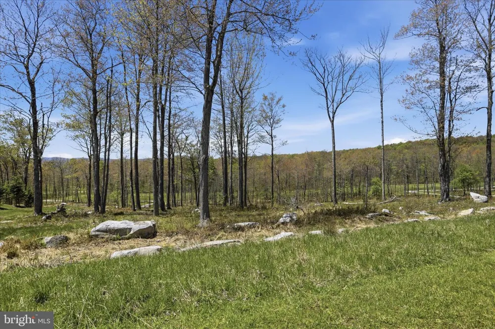 BILTMORE RIDGE TRAIL Mc Henry, MD 21541
