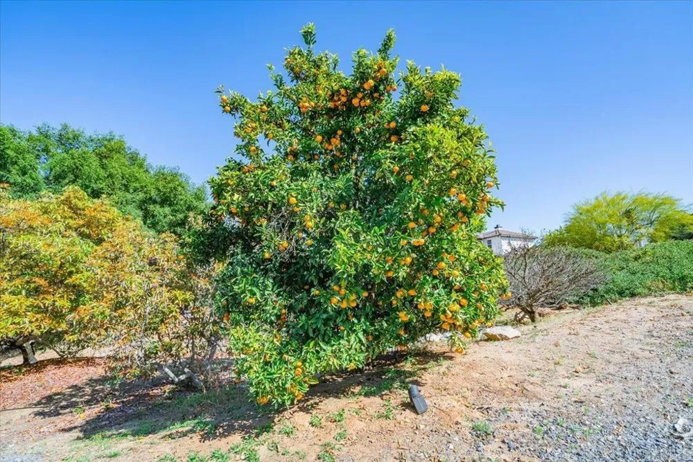 27117 Santolina Street Valley Center, CA 92082