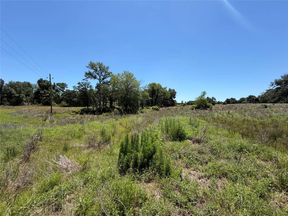 3803 Pr 4100 Marquez, TX 77865