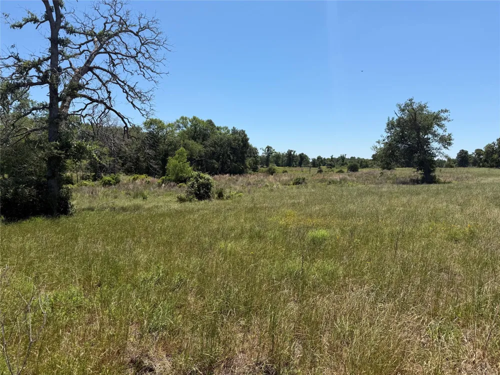 3803 Pr 4100 Marquez, TX 77865