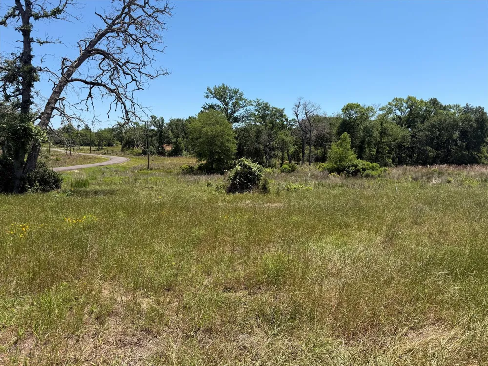 3803 Pr 4100 Marquez, TX 77865