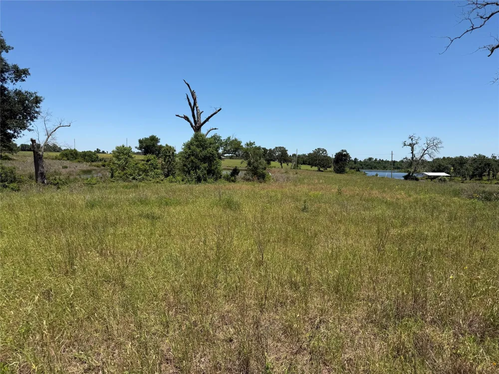 3803 Pr 4100 Marquez, TX 77865
