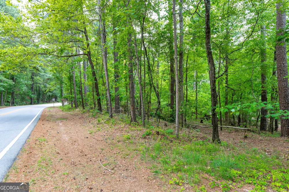 221 N Cove DR Peachtree City, GA 30269