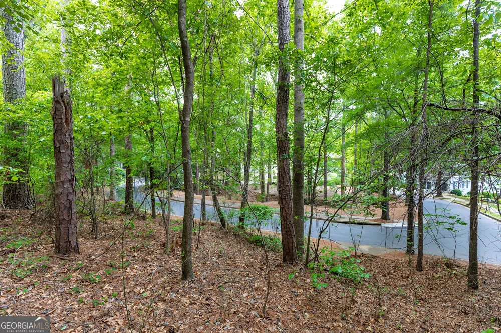221 N Cove DR Peachtree City, GA 30269