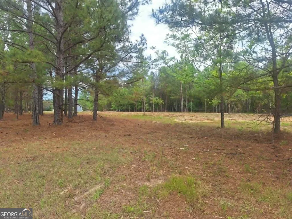 0 CV Mosley BLVD Lyons, GA 30436