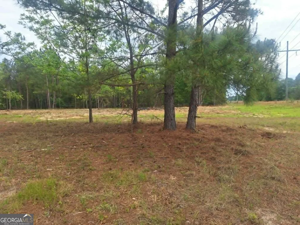 0 CV Mosley BLVD Lyons, GA 30436
