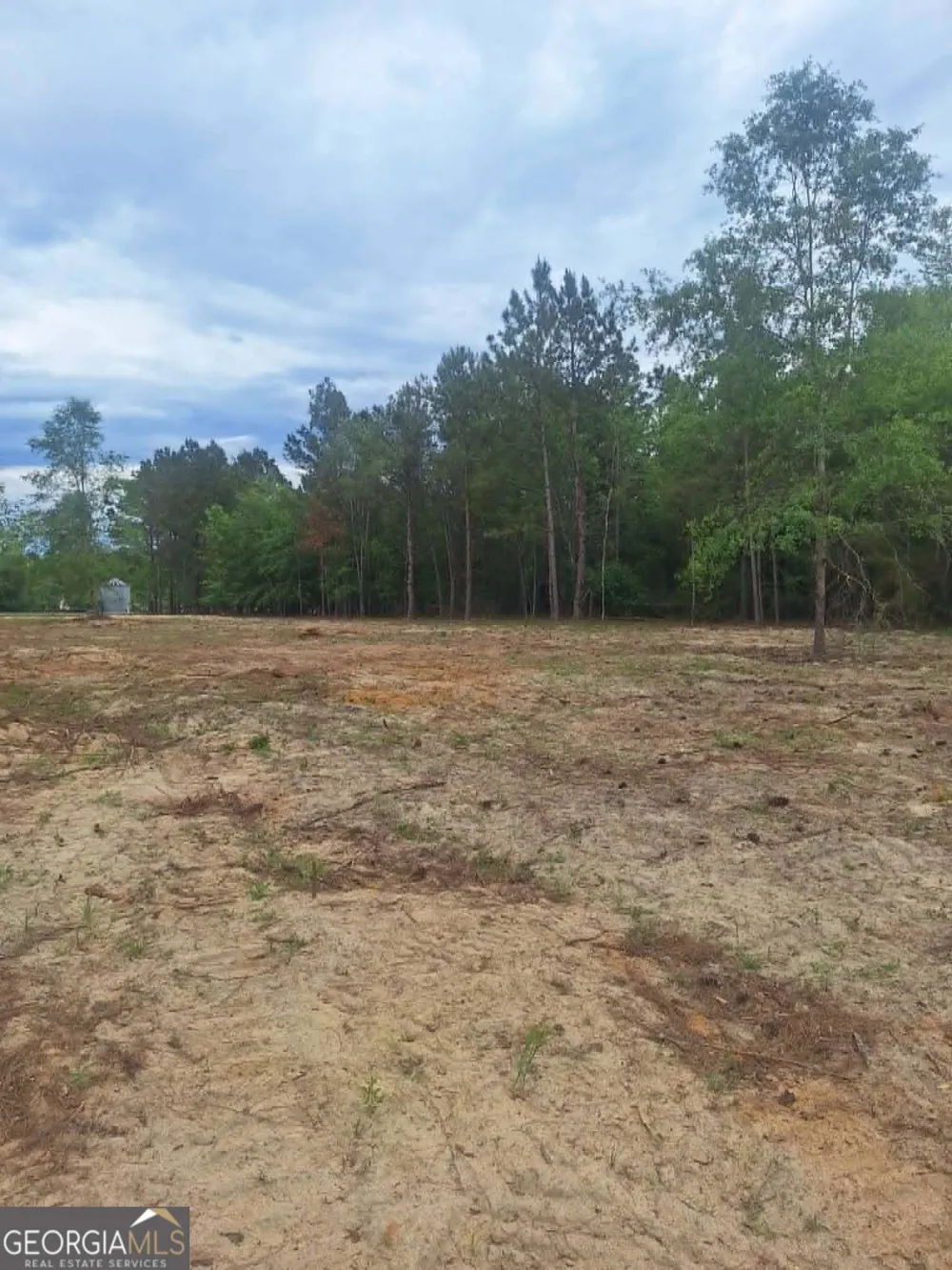 0 CV Mosley BLVD Lyons, GA 30436