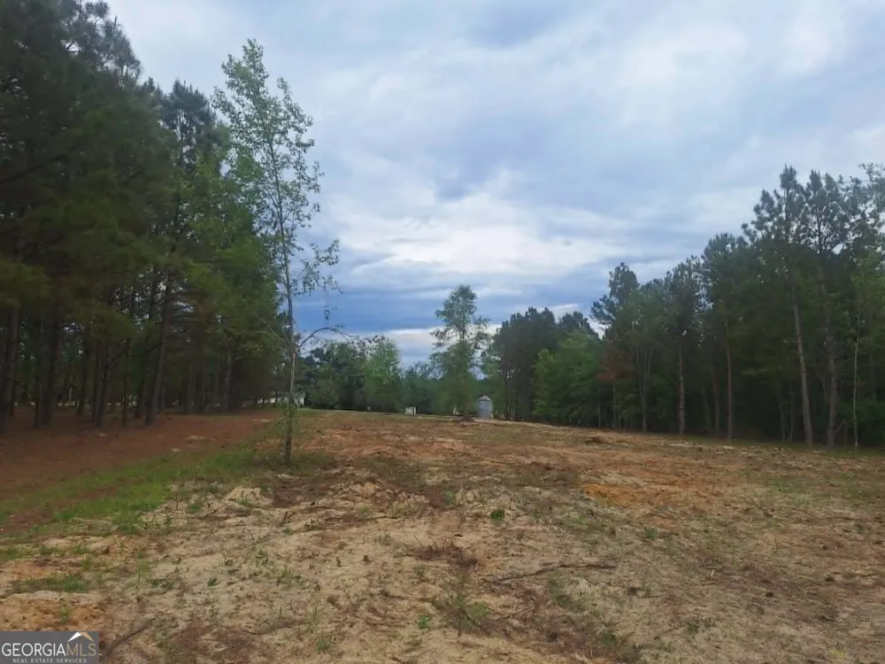 0 CV Mosley BLVD Lyons, GA 30436
