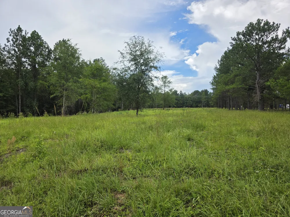 0 CV Mosley BLVD Lyons, GA 30436