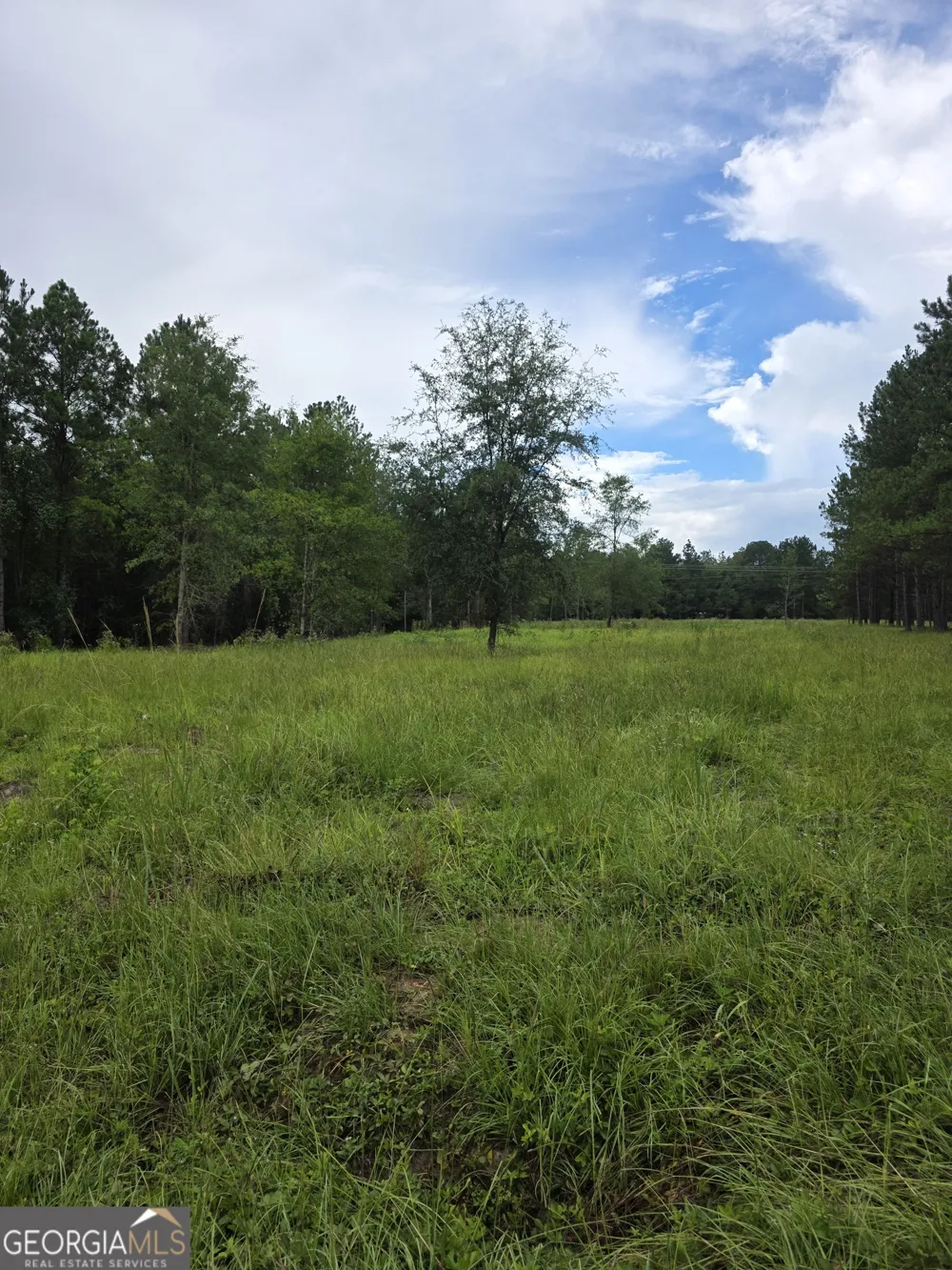 0 CV Mosley BLVD Lyons, GA 30436