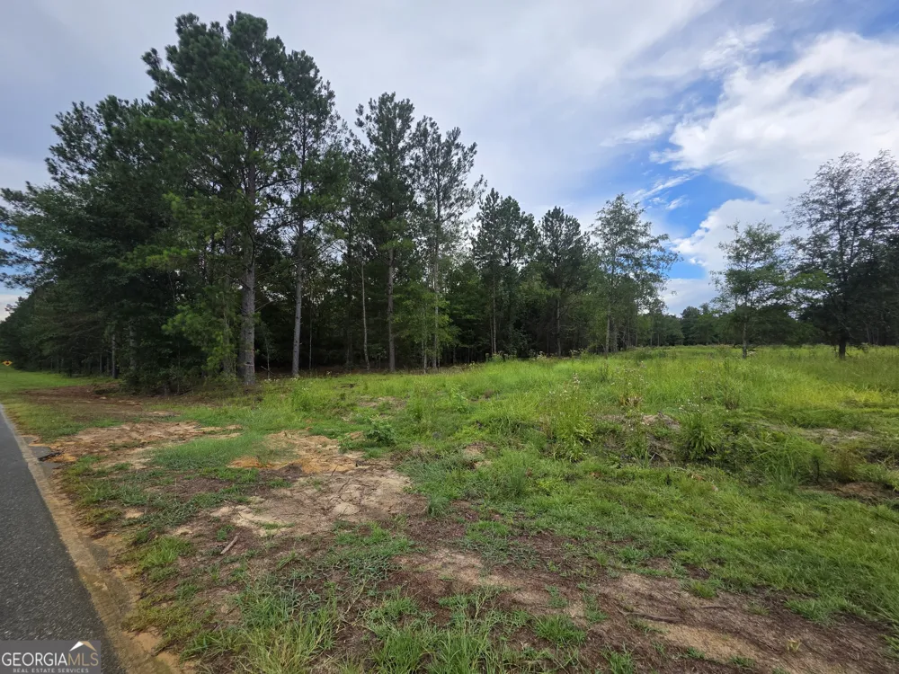 0 CV Mosley BLVD Lyons, GA 30436