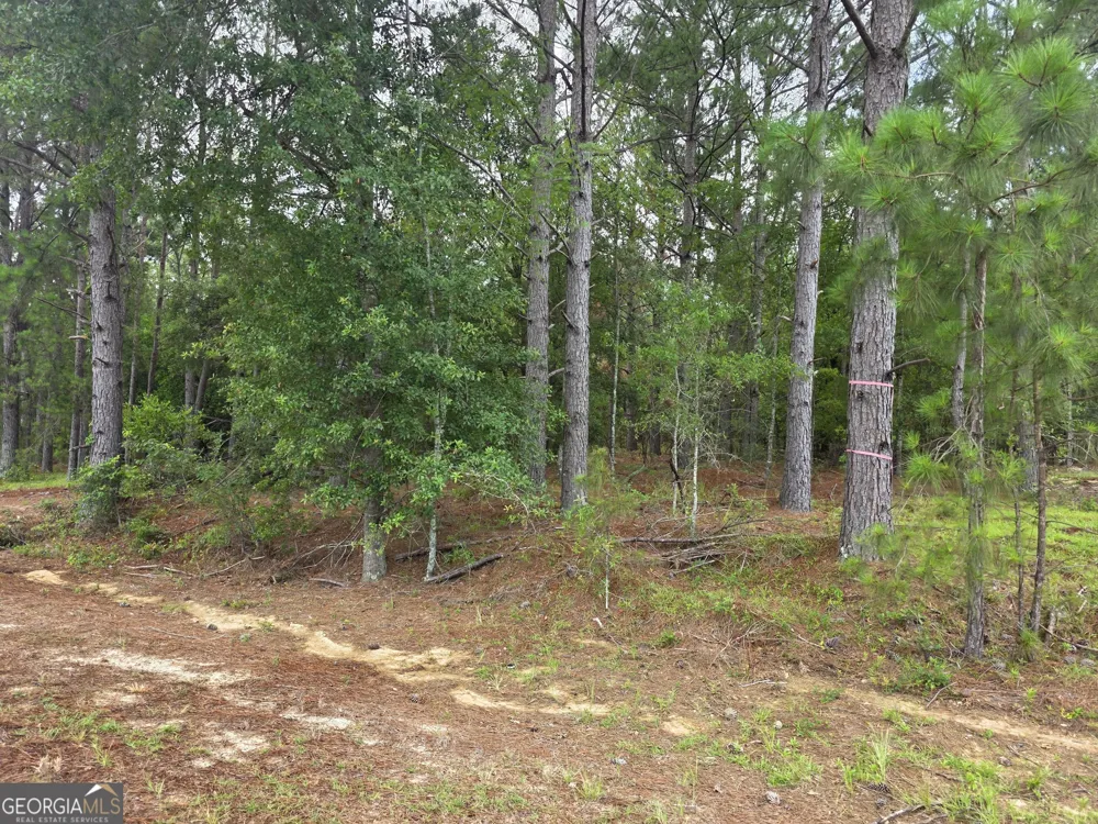 0 CV Mosley BLVD Lyons, GA 30436