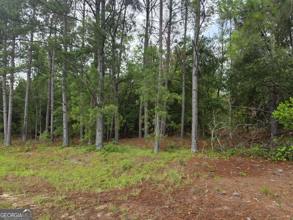 0 CV Mosley BLVD Lyons, GA 30436
