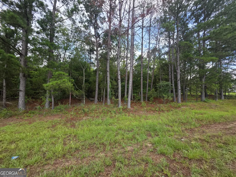 0 CV Mosley BLVD Lyons, GA 30436