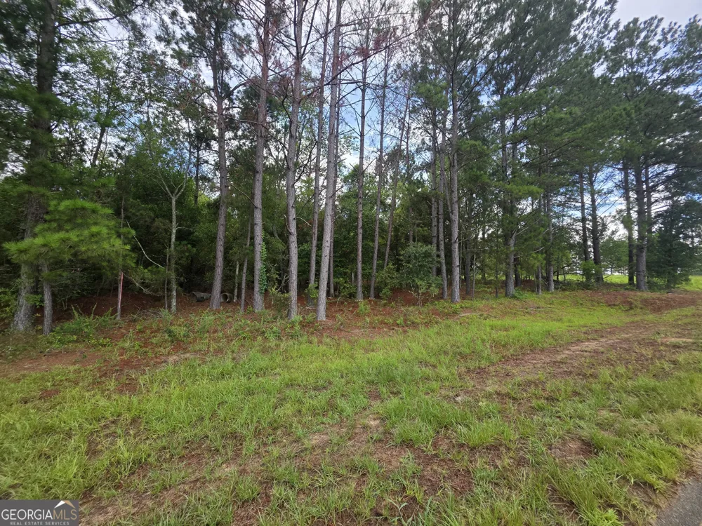 0 CV Mosley BLVD Lyons, GA 30436