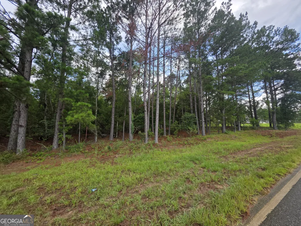 0 CV Mosley BLVD Lyons, GA 30436