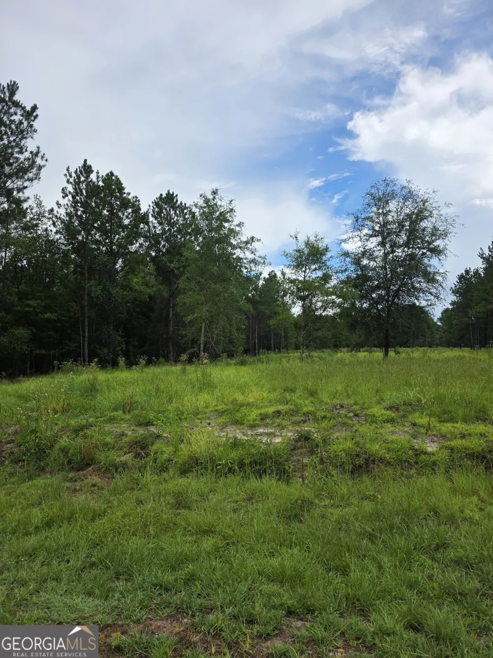 0 CV Mosley BLVD Lyons, GA 30436