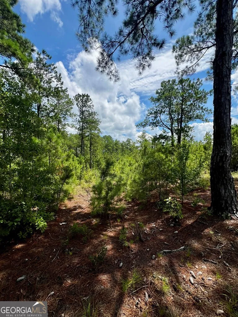 0 Dublin Eastman RD Dexter, GA 31019