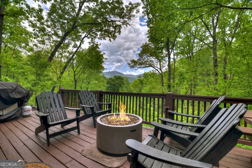 1822 Hidden Lake DR Cherry Log, GA 30522