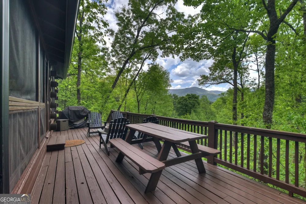 1822 Hidden Lake DR Cherry Log, GA 30522