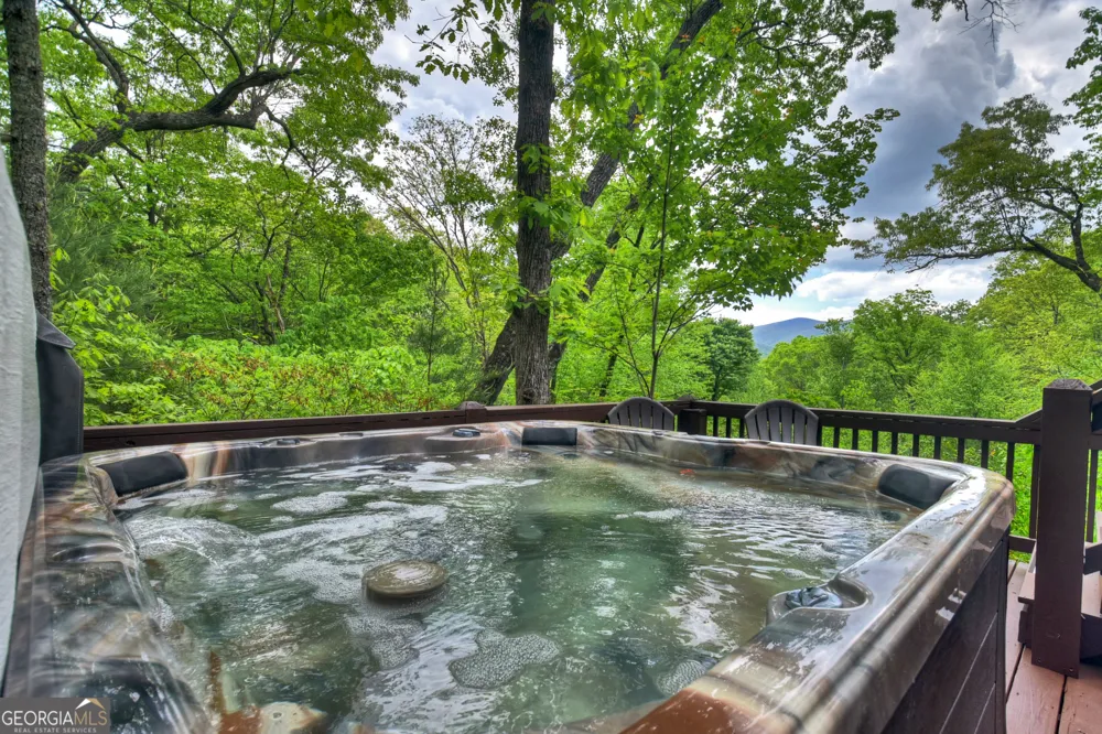1822 Hidden Lake DR Cherry Log, GA 30522