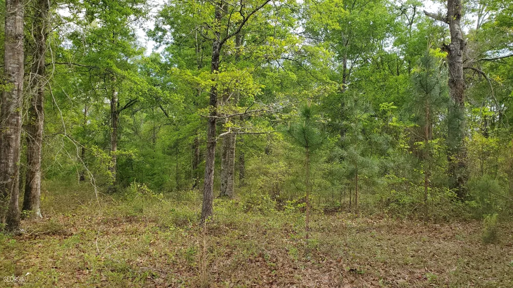 0 Meeks RD Rentz, GA 31075