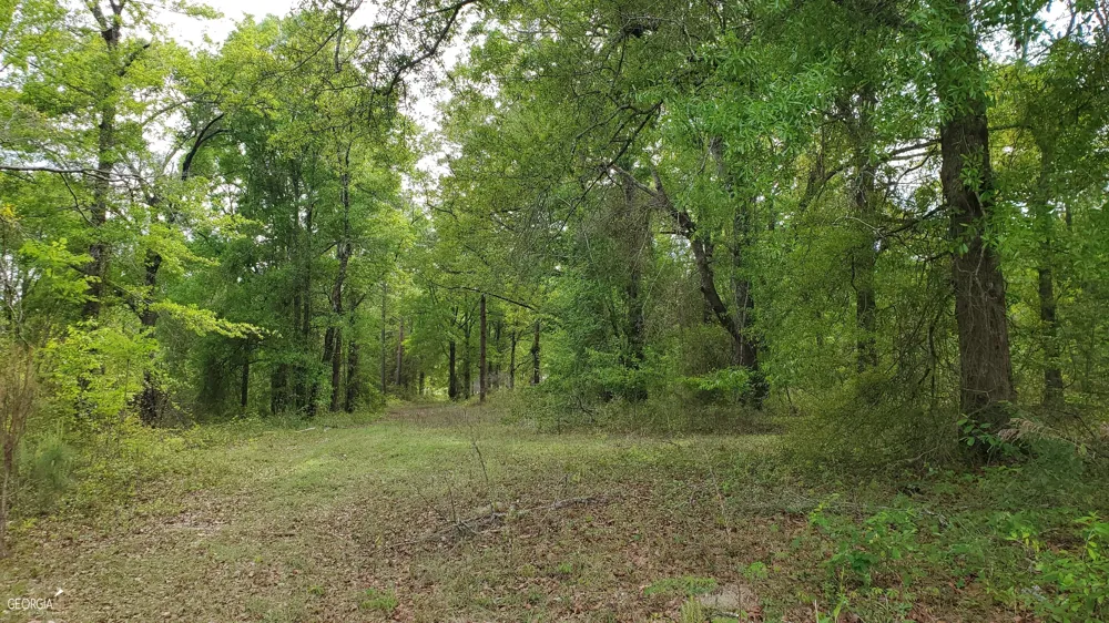 0 Meeks RD Rentz, GA 31075