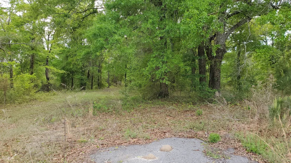 0 Meeks RD Rentz, GA 31075