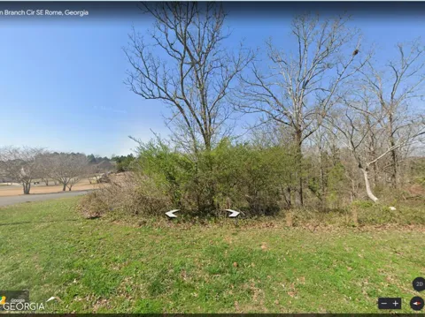 0 Fallen Branch CIR