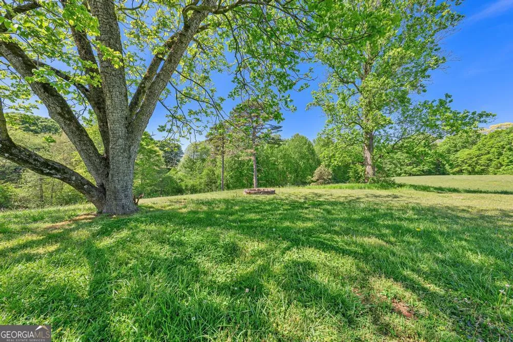 6351 Highway 17 Canon, GA 30520
