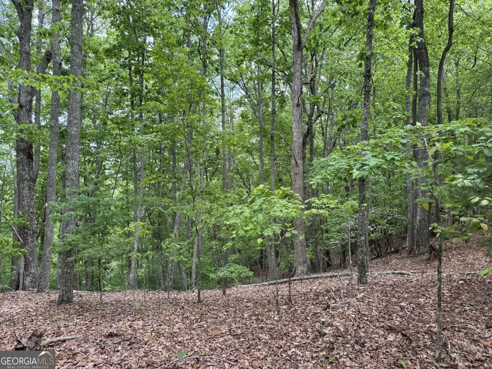 0 Royal Oaks TRL Young Harris, GA 30582