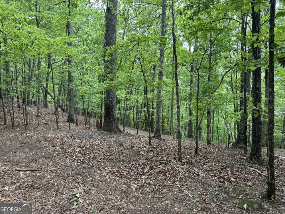 0 Royal Oaks TRL Young Harris, GA 30582