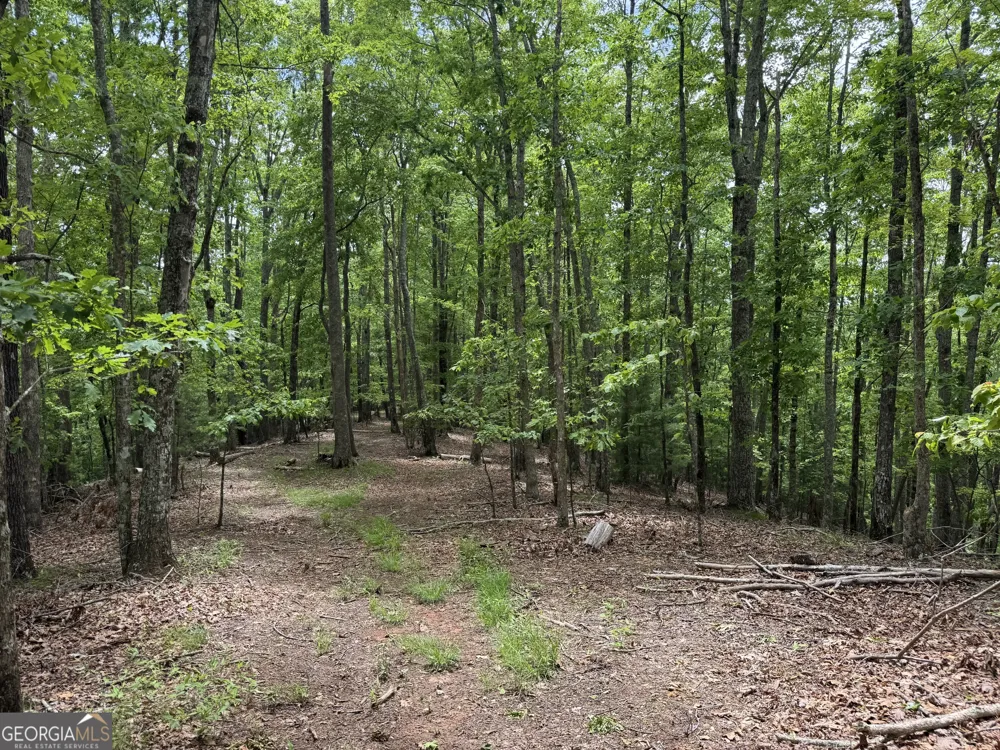0 Royal Oaks TRL Young Harris, GA 30582
