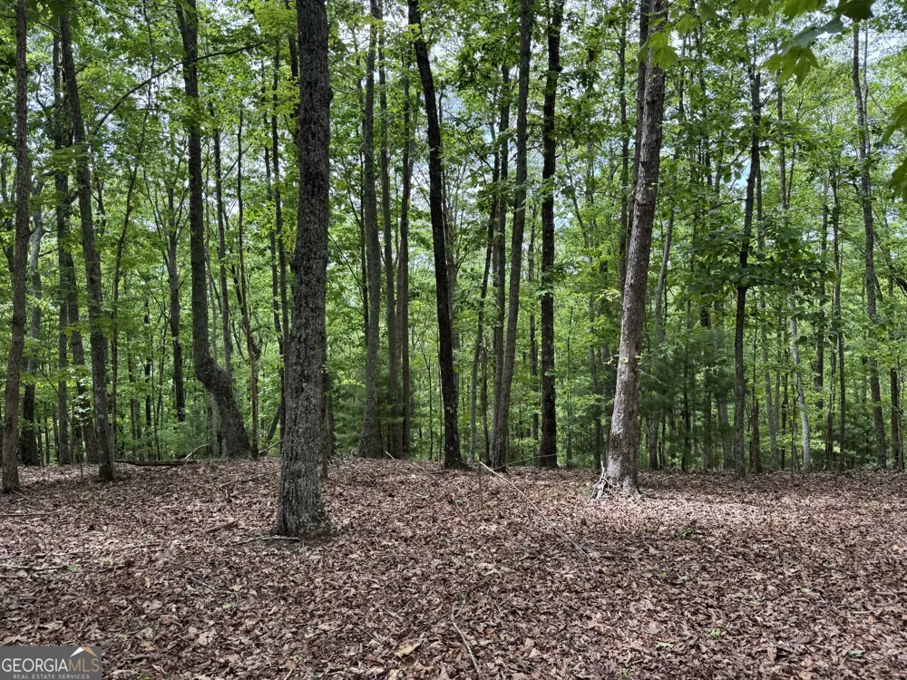 0 Royal Oaks TRL Young Harris, GA 30582