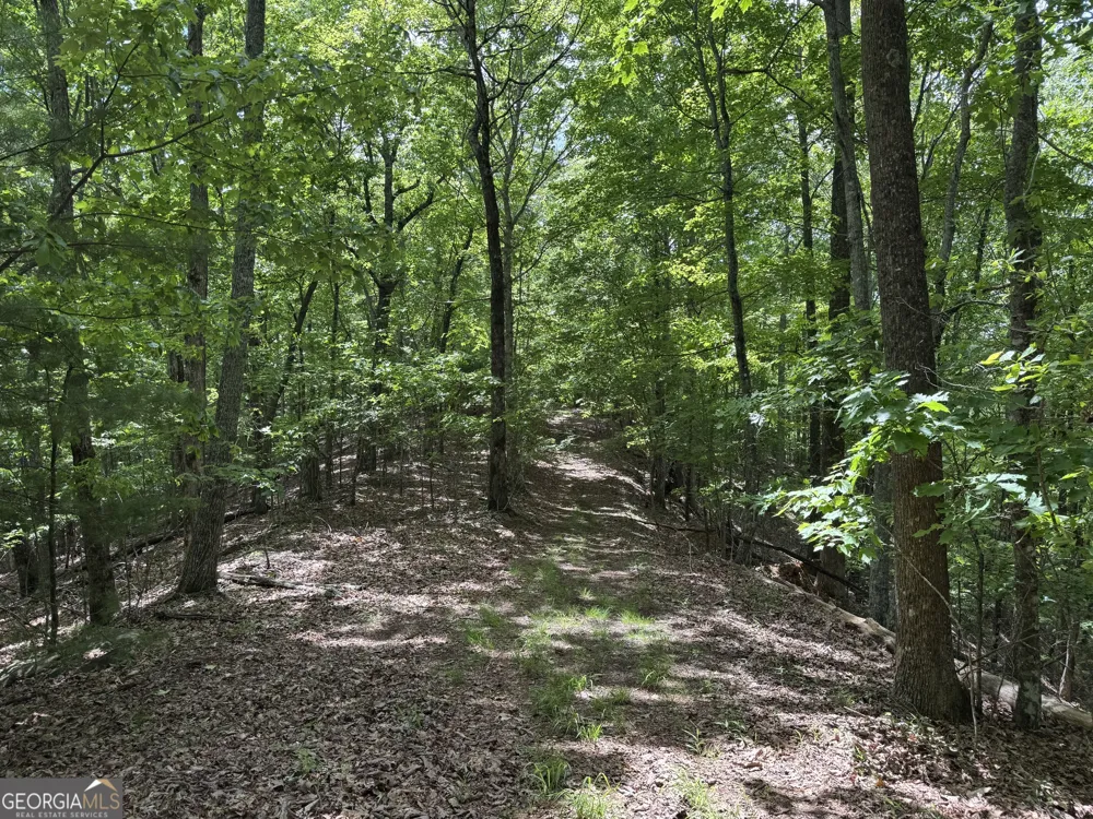 0 Royal Oaks TRL Young Harris, GA 30582